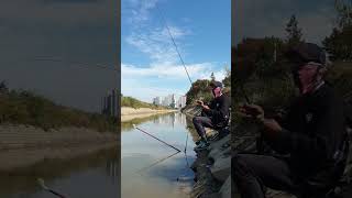 Mancing di korea || mantap #fishing #pangingisda #낚시 #mancing #strike