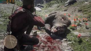 Red Dead Redemption 2 | Legendary Bear