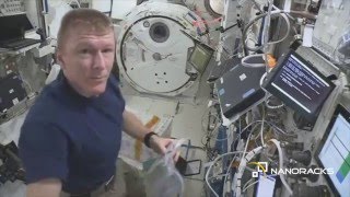 Tim Peake Installs Student Spaceflight Experiment Program's Module 9