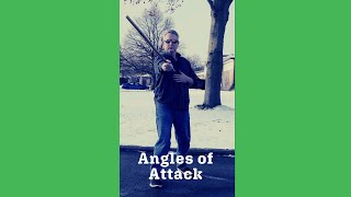 12 Angles Of Attack #shorts #short #martialarts #fma