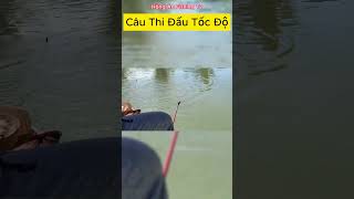 Câu cá thi đấu tốc độ #shots #recreationalfishing