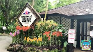 National Orchid Garden Singapore