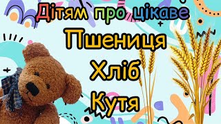 Дітям про цікаве Пшениця Хліб Кутя Випуск 10