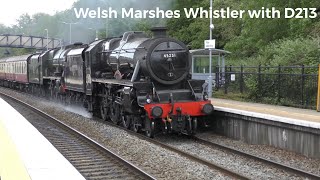 Welsh Marshes Whistler with D213