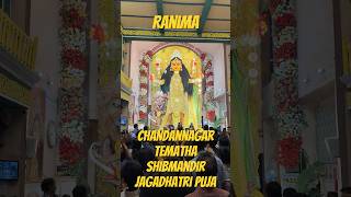 Ranima - Chandannagar Tematha Shivmandir Jagadhatri Puja 2024 #jagadhatripuja #jagadhatripuja2024