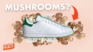 The TRUTH About The NEW Stan Smith