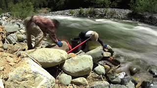 DIGGING FOR GOLD! in NORTHERN CALIFORNIA! "BASIC NEEDS"