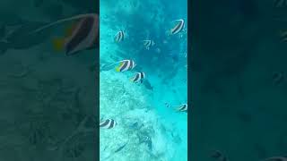 Day tours with Secret Paradise Maldives