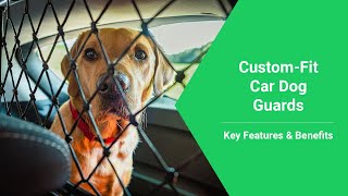 Car Dog Guards | Vehicle Pet Barriers | Key Features & Benefits | Shop at DriveDen.com