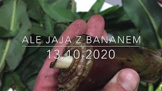 114.🌴🍌Ale jaja 🥚🥚 z bananem🍌13.10.2020🍌🌴