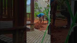 Update proses pemasangan Paving Blok #shorts