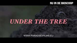 UNDER THE TREE | 30" NU IN DE BIOSCOOP