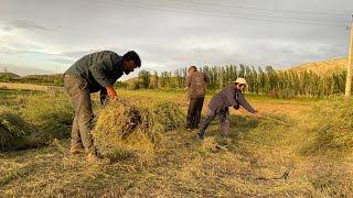 Family Gathers Sheep Fodder and Prepares Traditional Kuku Sabzi on the Woodfire Stove