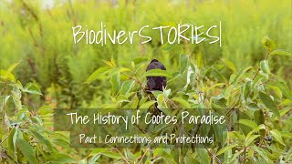 BiodiverSTORIES: The History of Cootes Paradise with Ken Cruikshank (Part 1)