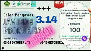 3.14 Ruang Lingkup, Pelaksanaan Tugas Pengawas JPH