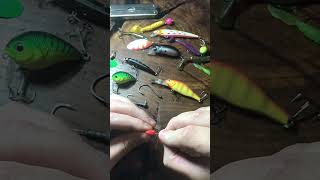 На Окуня FISH EAT #fishing#shorts#youtubeshorts#рыбалка#окунь#рыба