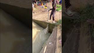 Real Life 100% Net Fishing In River At The Countryside .(Episode 148)