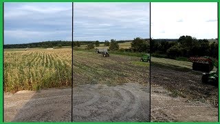 ☆KISZONKA Z KUKURYDZY 2018 ☆ SILAGE CORN HARVEST IN POLAND 2018☆ TIMELAPSE !!!!