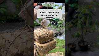 Bungkusan Tradisional Ini Bikin Turis Heboh‼️ Bule #reaksibule #buleriview #shorts #viralvideo