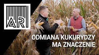 Odmiana kukurydzy ma znaczenie || AR #134