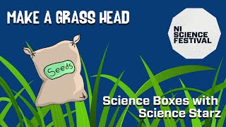 Science Boxes with Science Starz : Grass Head | NI Science Festival