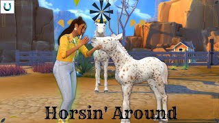 Horsin' Around: Throwing a Party // Ep 11 //