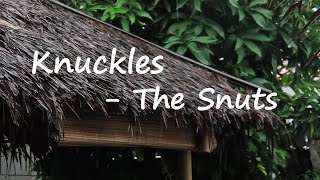 The Snuts - Knuckles Lyrics