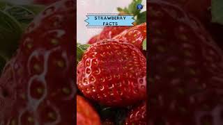 Strawberry Facts #shorts #facts #strawberry