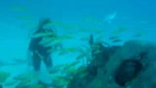 Diving - Racha Yai Ship Wreck 2004