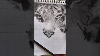 🐯How i draw tiger realistic sketch #tiger #sketch #charcoal  #howtodraw #viralvideo#notag#challenge