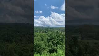 Chocolate Hills of Bohol #bohol #chocolatehills