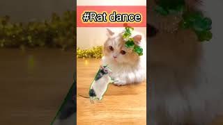 funny Rat dance #youtube