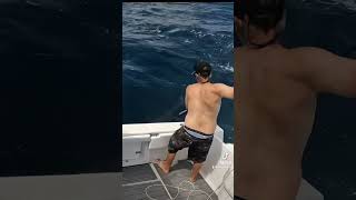 L #fishing #tuna #fish #sportfishing #fishingvideo #swordfish #fisherman #harpoon #bass #mahi #bait