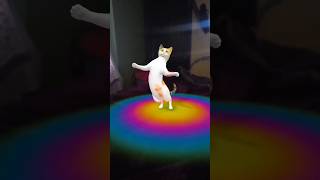 Cat and puppy funny dance video 🤣 😂 #funny #comedy #shorts #Cat dog #funnyshorts #comedyvideo #short