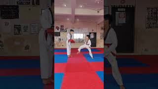 Taekwondo Paddle Kick Training #taekwondo #kicks #practice #martialarts #taekwondokid #workout