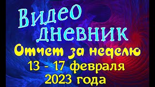 Видео дневник . Отчет за неделю 13 - 17 февраля 2023года.