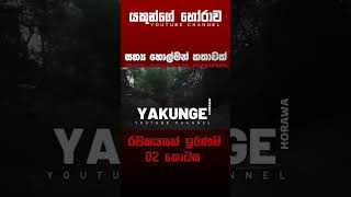 රචකයාගේ ඉරණම 02  | sinhala holman katha #සිංහල #holman #හොල්මන් #horror #horrorfan #horrormovie