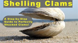 Clam Shelling: A Step-by-Step Guide to Perfectly Shucked Clams!