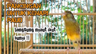 Ampuh 💯  TERAPI PANCINGAN SUARA KENARI GACOR ‼️ PART 19