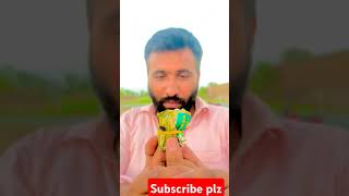 Part 2|Naswsr funy video|saraiki funy video #saraikifunyvideo #funyvideo#youtubeshorts#hamstercombat