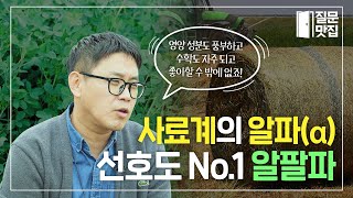 📣소들의 군침을 싹~ 돌게 만드는 풀 사료의 여왕 알팔파! 국산 신품종의 탄생🌿