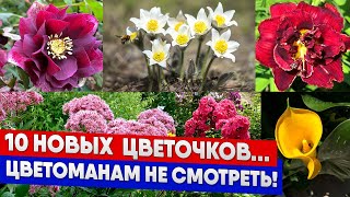 10 новых цветов... Любителям цветов смотреть не стоит!