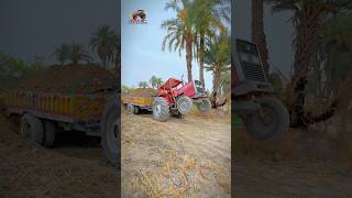 Mf 385 tractor stunts with load trolley. #mf385 #stunt #foryou #trending #viralvideo #tractor #fyp