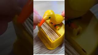 Amazon Toothpick Box | TikTok naveed awan