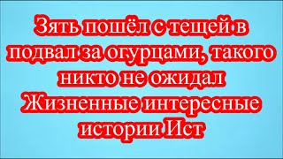 Зять пошёл с тещей в подвал за огурцами, такого никто не ожидал Жизненные интересные истории Ист