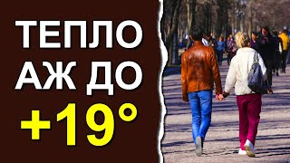 Где и когда ждать резкого потепления в Украине: Погода в феврале 2024