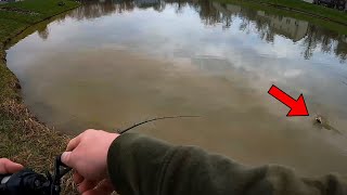 Fishing SUBURBAN Neighborhoods for GIANT Prespawn Bass!