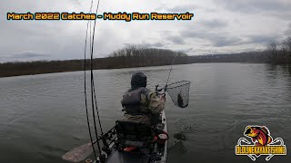 March 2022 Catches - Muddy Run Reservoir