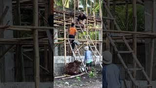 Constructing marks beach hut on going