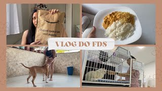 VLOG DO FDS | LÂMPADA INTELIGENTE, FIZ STROGONOFF, AULA ONLINE, BANHO NAS DOGS, PLANTÃO DE MED VET